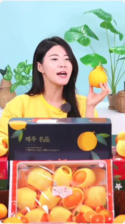 한라봉 감귤