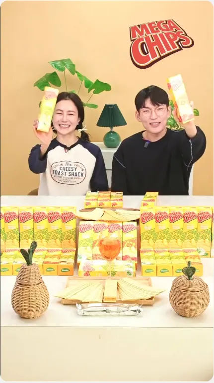 메가칩스